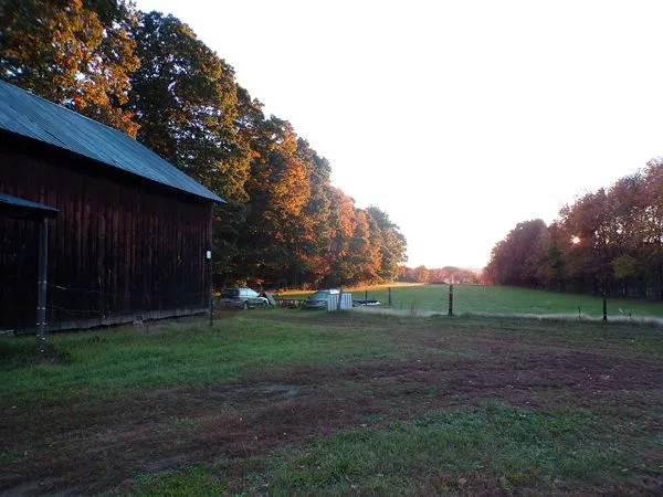 Sun-up on back 40 crop Oct. 2021.jpg