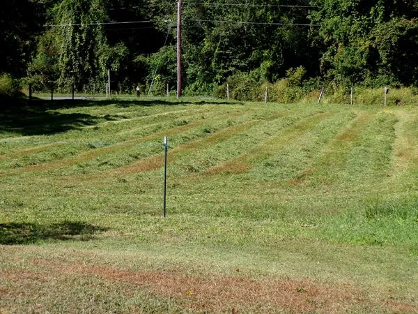 Front pasture cut crop Sept. 2023.jpg