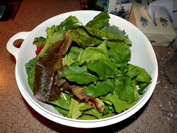 Big bowl of greens crop July 2024.jpg