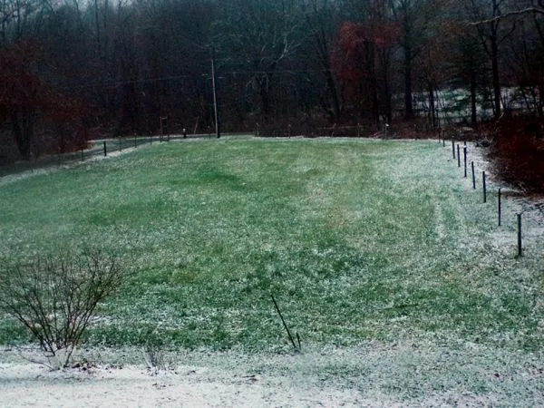 First snow - front pasture crop Nov. 2022.jpg
