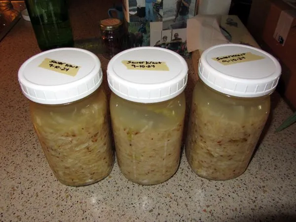 Sauerkraut - 2nd jar decanted crop Sept 2024.jpg