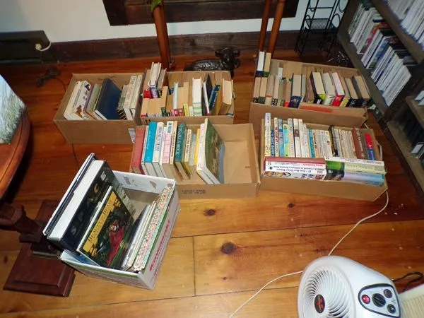Discarded books Big bookcase crop Oct. 2021.jpg