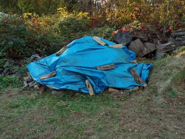 Wood pile tarped crop Oct. 2021.jpg