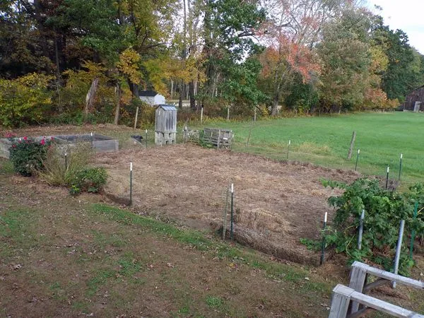 Small garden - cleaned out crop Oct. 2021.jpg