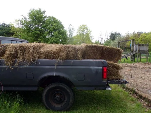 Mulching - 1st truckload crop May 2024.jpg