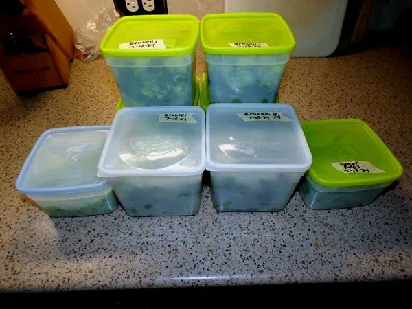 To freezer - 5.75 meals brocolli, 1-2 pint peas, 1 pint pods crop July 2024.jpg