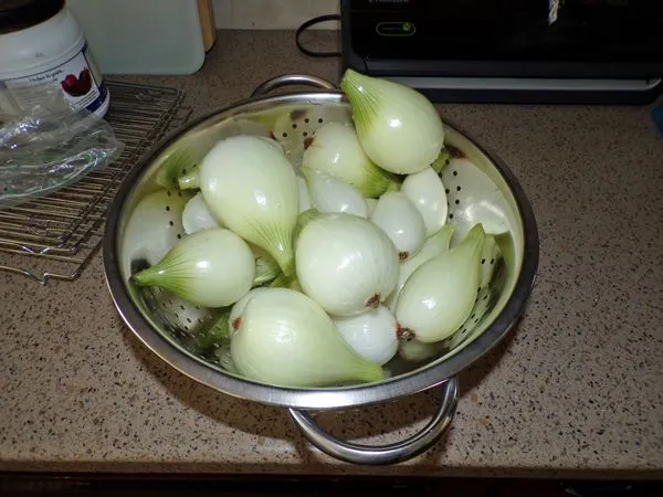 Walla onions for dehydrator crop August 2022.jpg