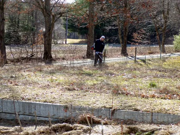 Lee weedwacking wildflowers crop March 2024.jpg