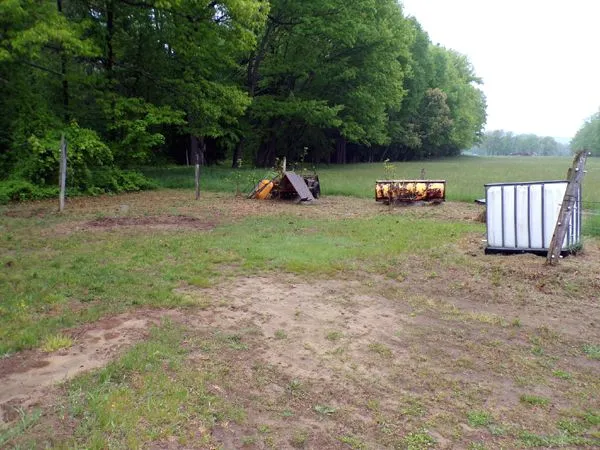 End of barn weedwacked crop May 2024.jpg