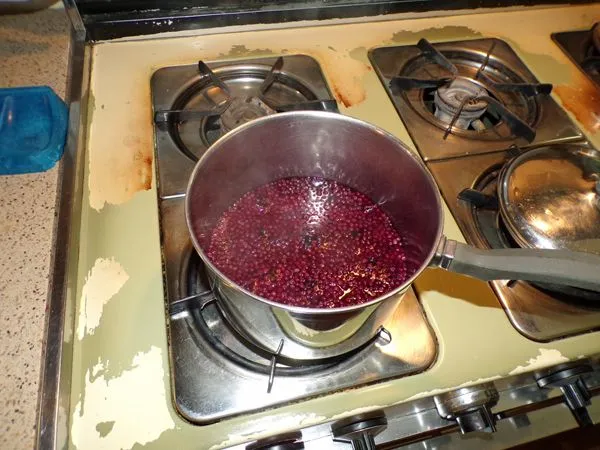 Elderberries - simmering crop August 2022.jpg