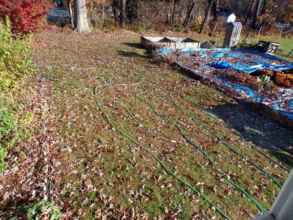 Hoses in sun crop Nov. 2023.jpg