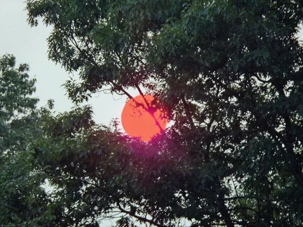 Sun in smoke haze crop July 2021.jpg