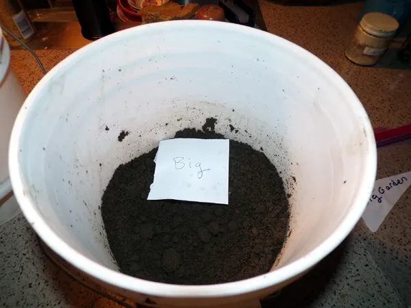 Soil test - each bucket crop Nov. 2022.jpg