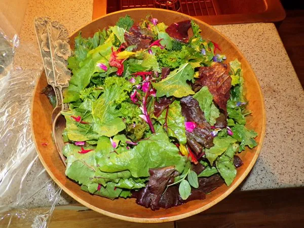 Greens and Flowers salad crop July 2021.jpg