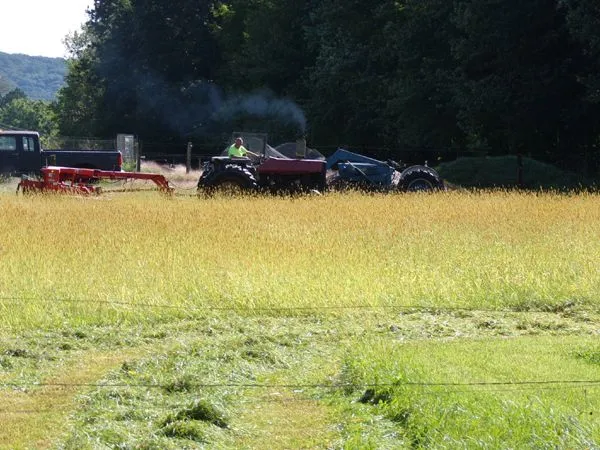 Cutting middle pasture crop Sept. 2023.jpg