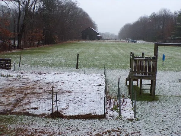 First snow - middle pasture crop Nov. 2022.jpg