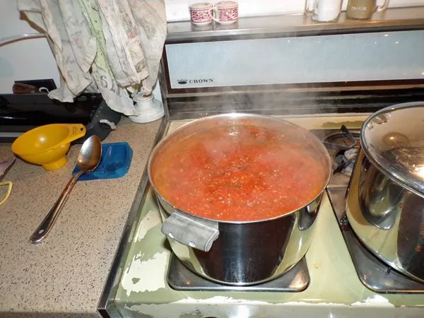 Spaghetti sauce2 - started 12-30 crop Sept. 2021.jpg