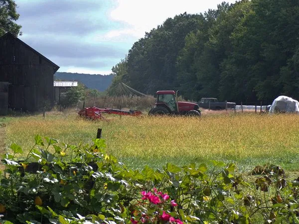 Hay - cutting middle pasture2 crop Sept. 2021.jpg