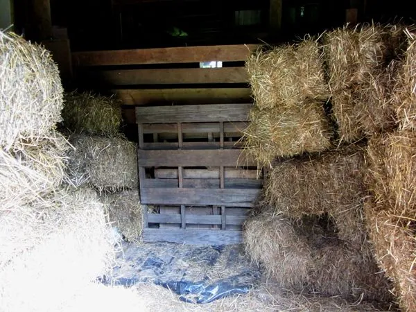 Hay stall nearly full crop August 2024.jpg