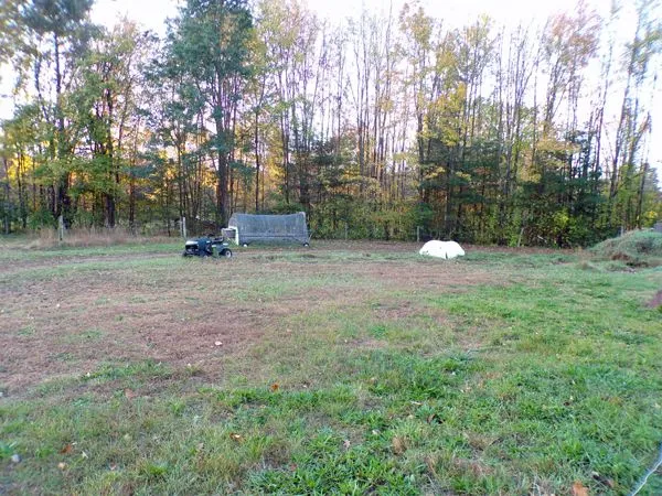 Hay bales gone crop Oct. 2021.jpg