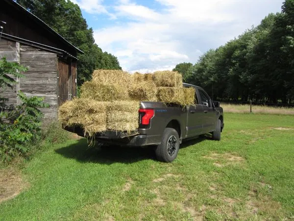 Truck load hay mulch crop August 2024.jpg