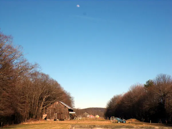 Moonrise at suppertime crop April 2023.jpg