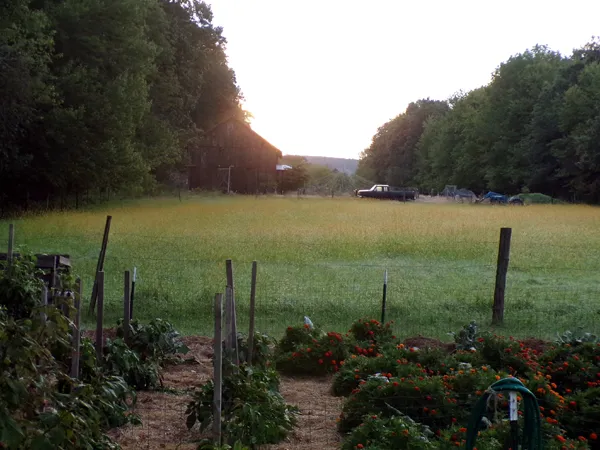 Middle pasture at sunrise crop Sept. 2023.jpg