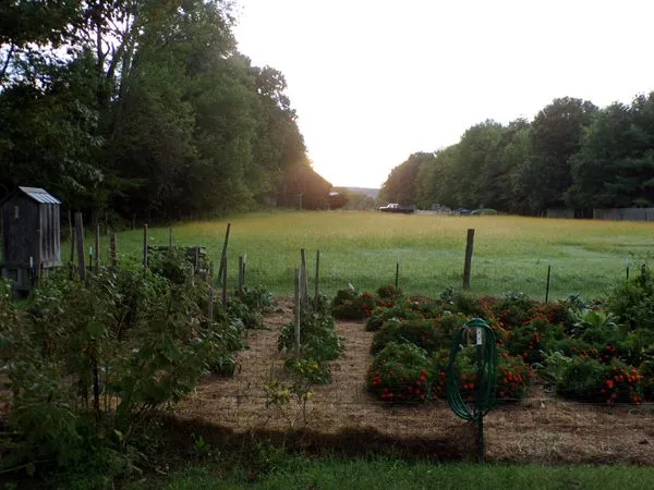 Small garden and middle pasture crop Sept. 2023.jpg