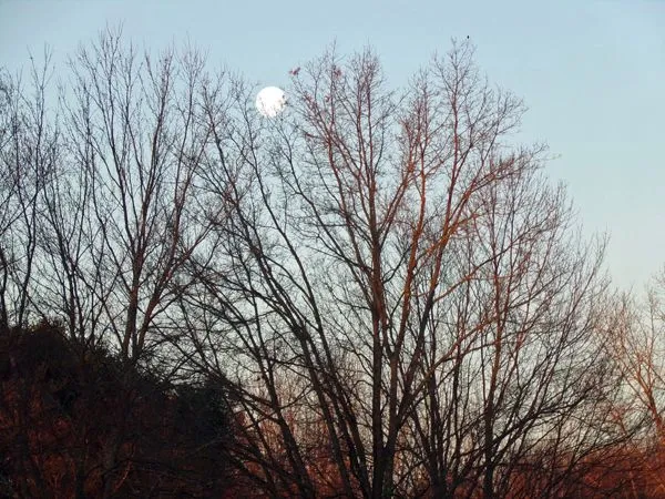 Sun-up moon set crop March 2021.jpg