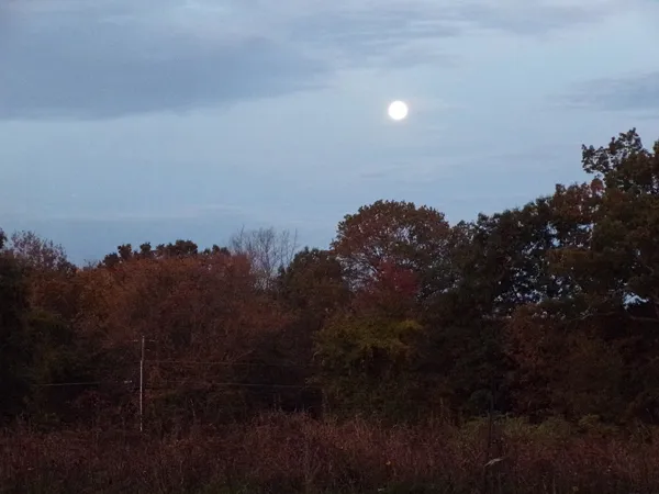 Hunters's moon at dawn crop Oct. 2021.jpg