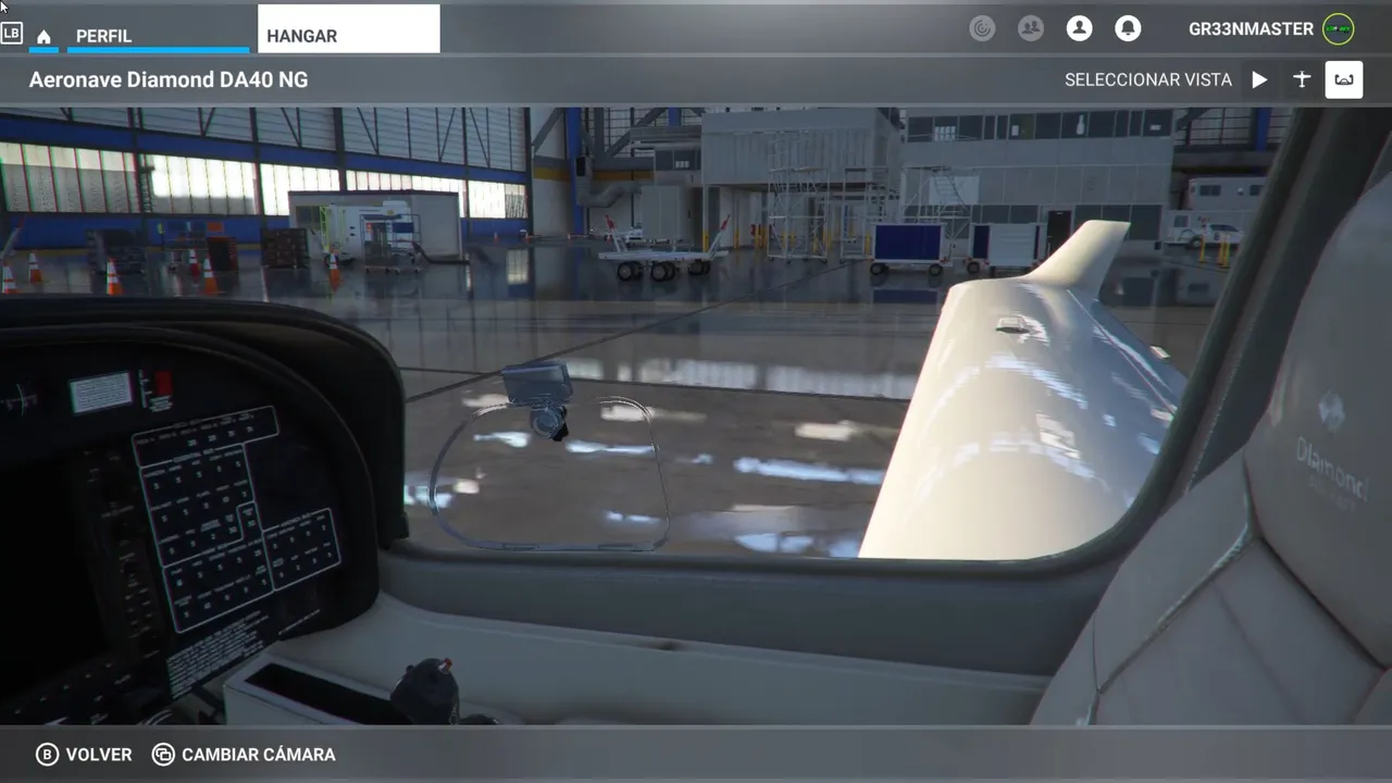 Microsoft Flight Simulator (8).png