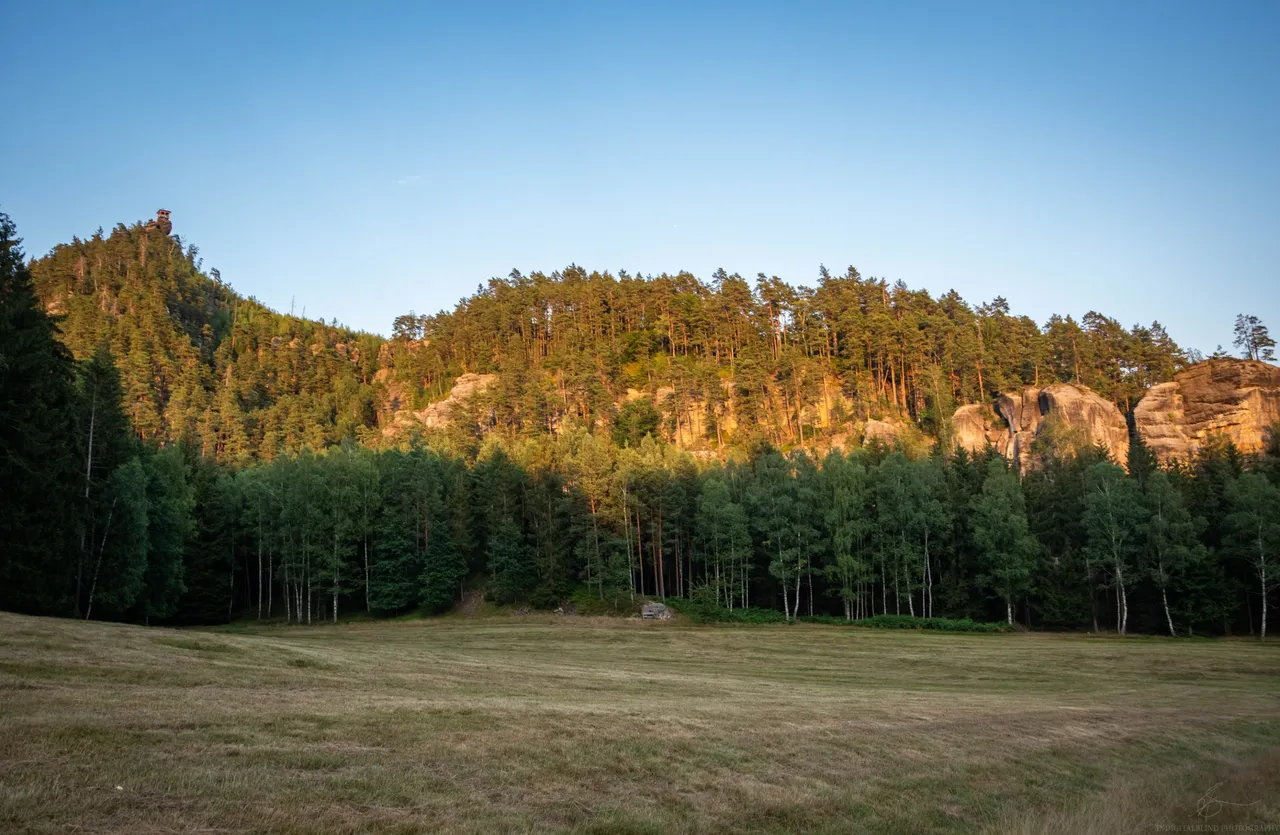 DSC_0181.jpg