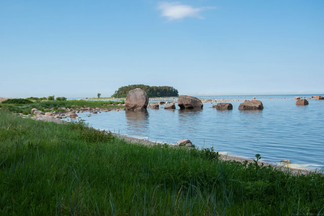 DSC_0167.JPG