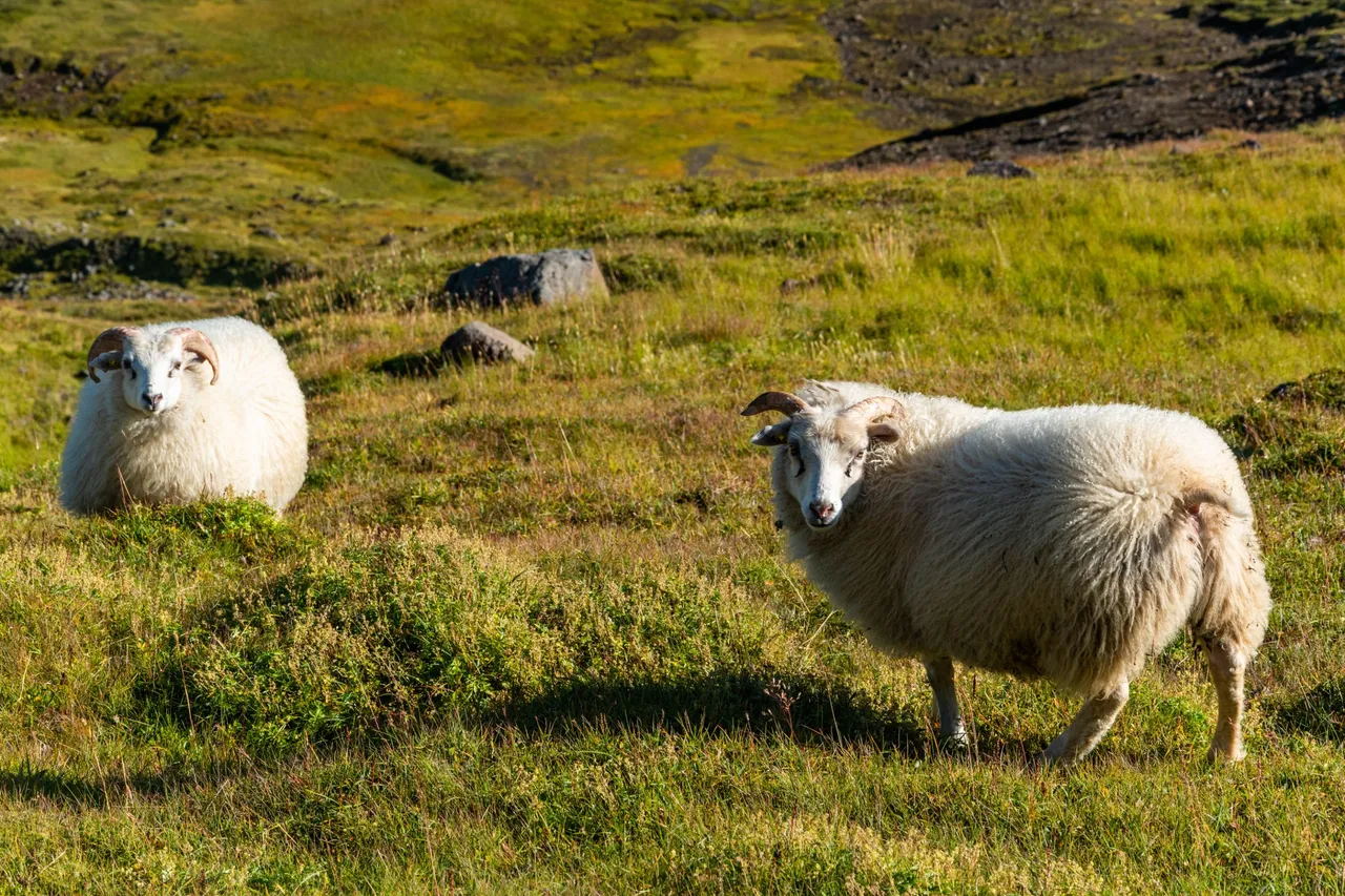 DSC_0753.jpg