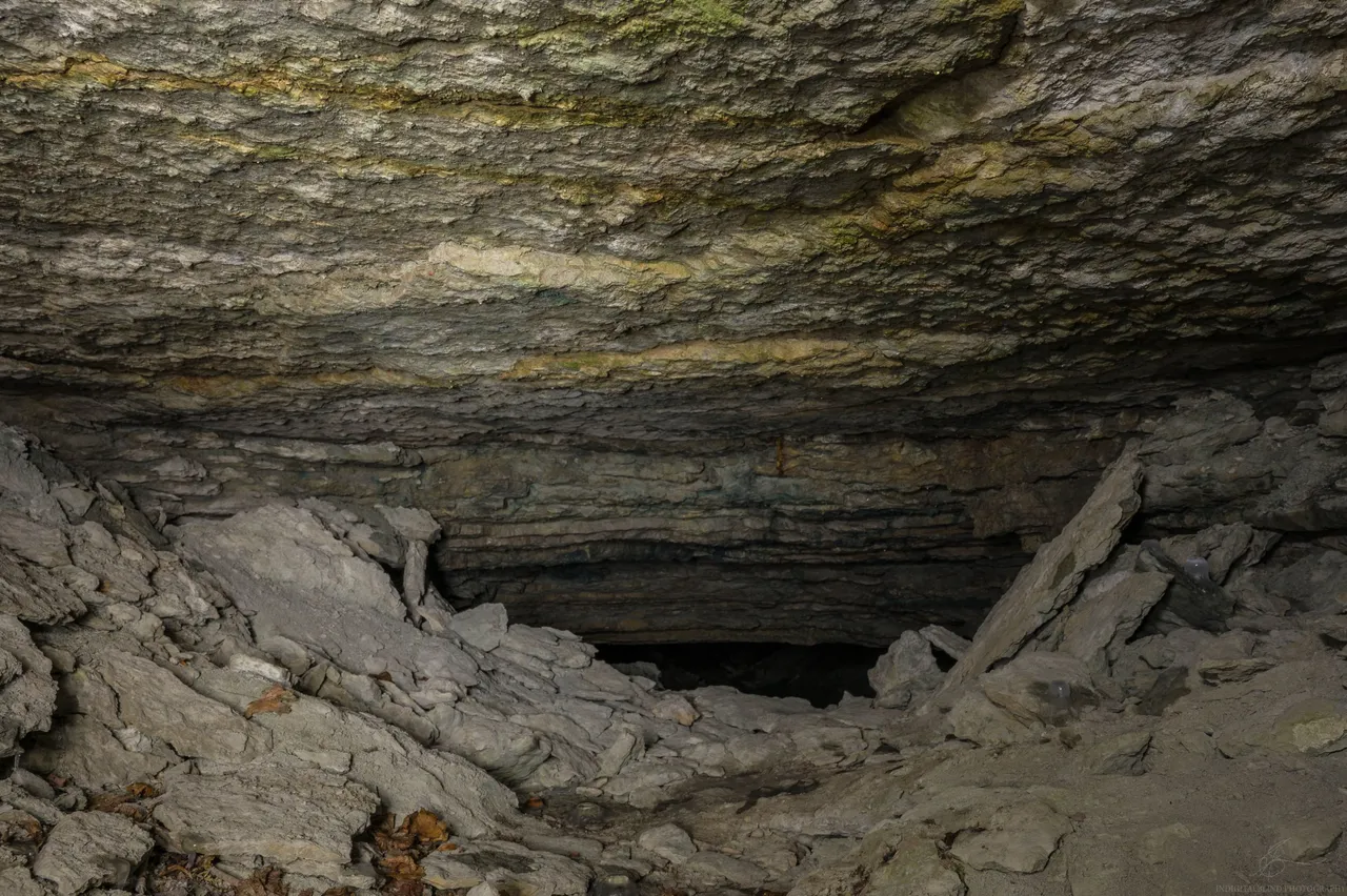 FRS_1066.JPG