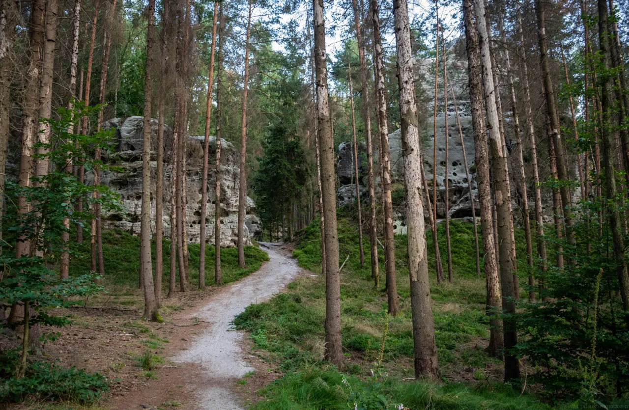 DSC_0176.jpg