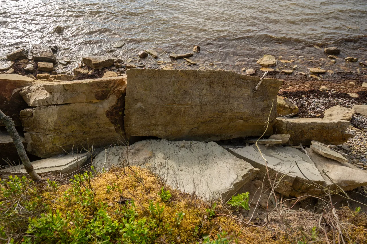 FRS_5194.jpg