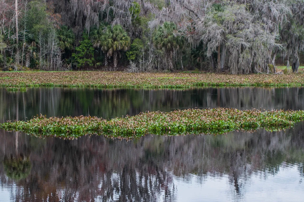 DSC_0640.jpg