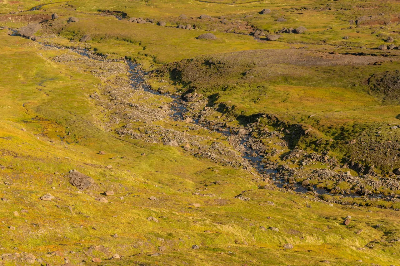 DSC_0794.jpg