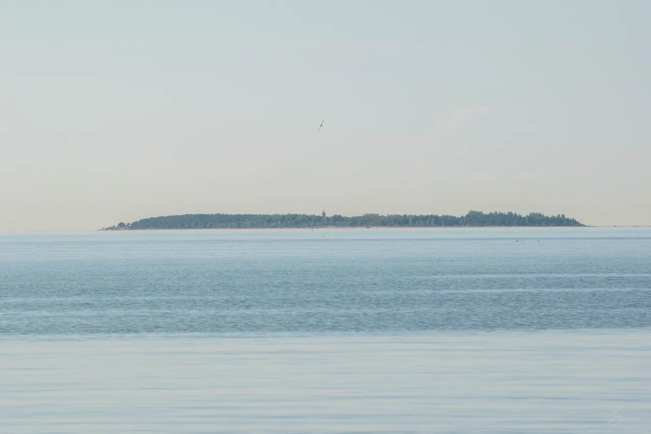DSC_0172.JPG