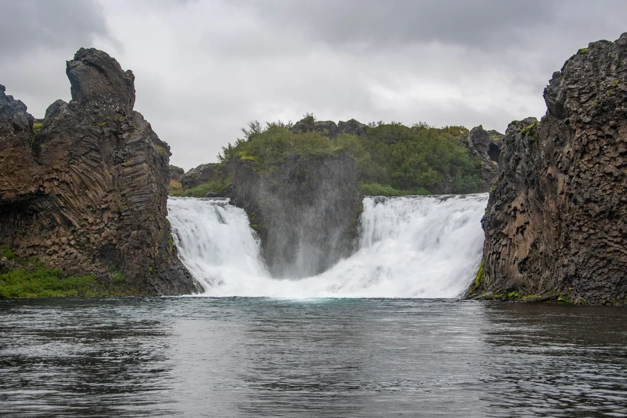 DSC_0180.jpg