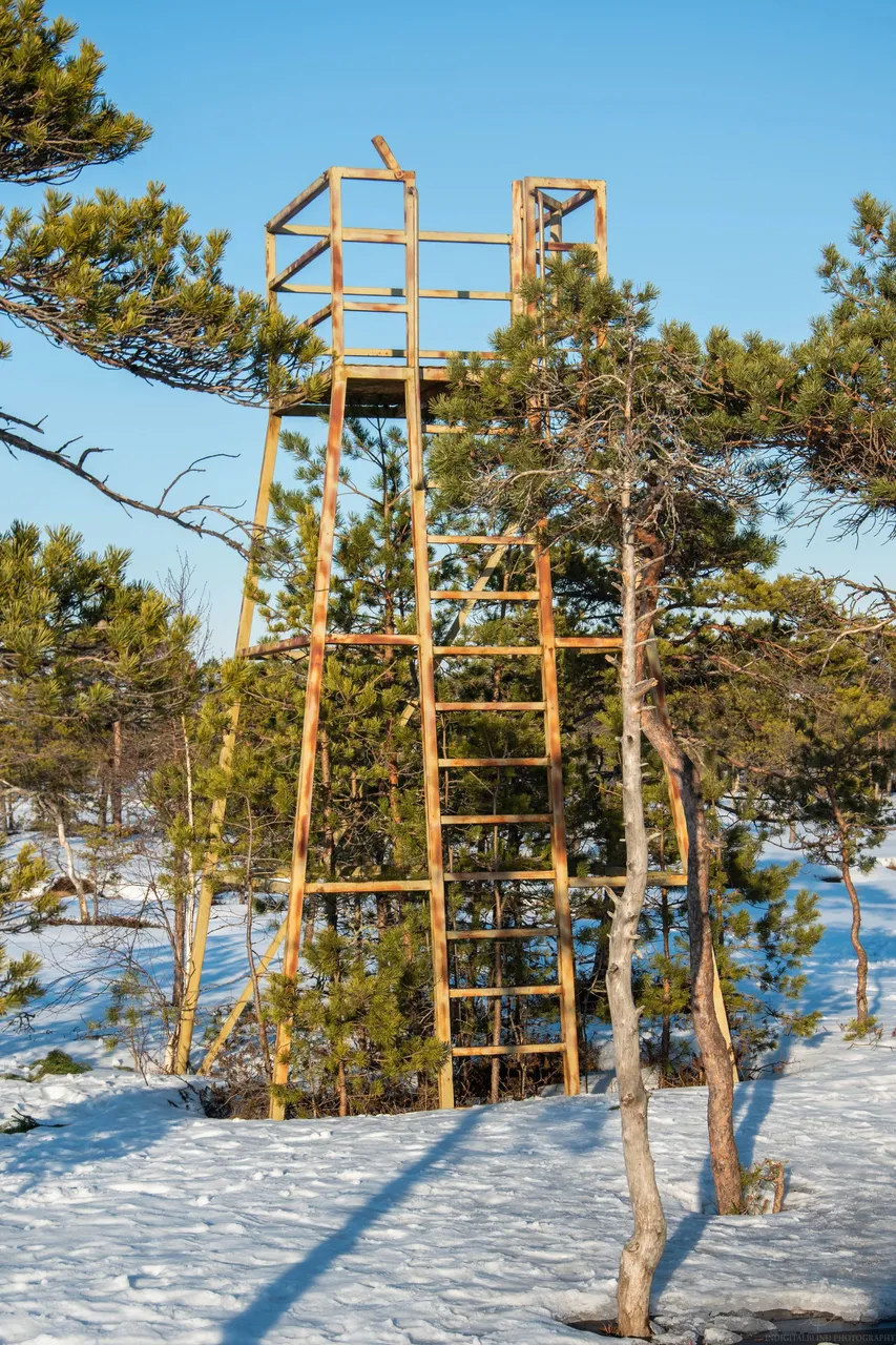 DSC_0108-2.jpg