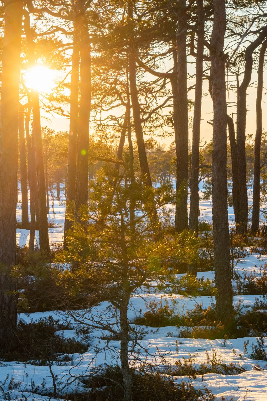 DSC_0137.jpg