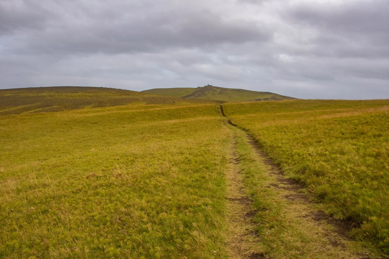 DSC_0406.jpg