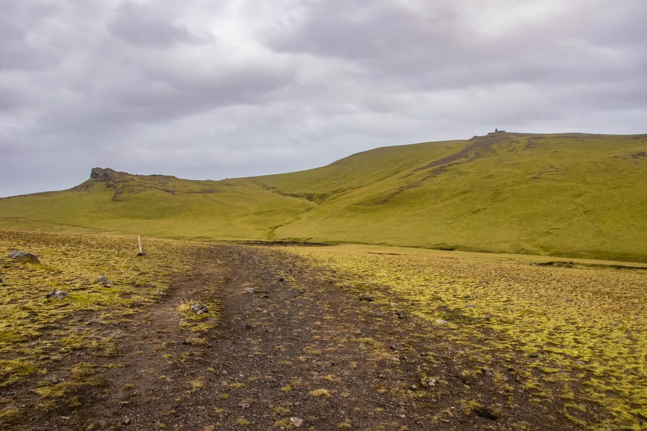 DSC_0407.jpg