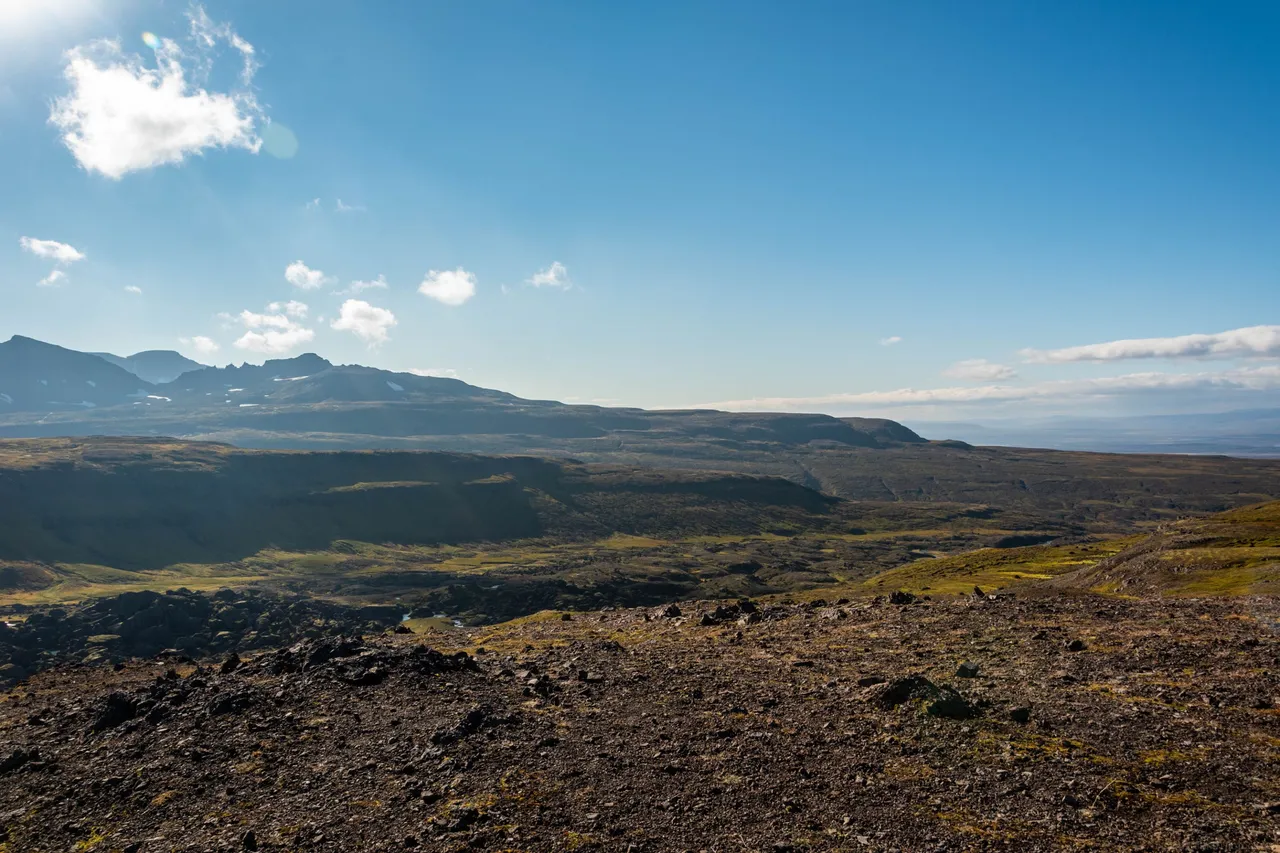 DSC_0788.jpg
