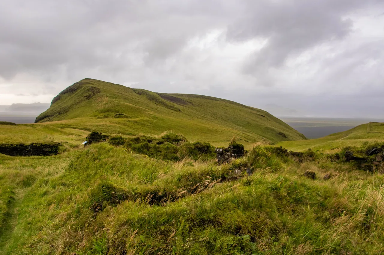 DSC_0423.jpg