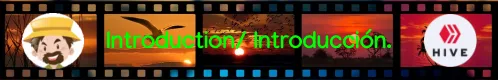 banner-film-introduction.introduccion.1668918_960_720.png
