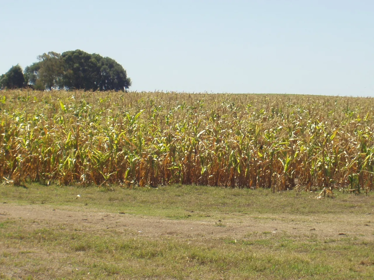 Argentina 2007 092.jpg