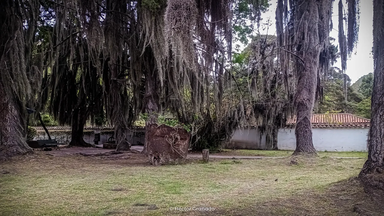 IMG_20250530_153033617_MFNR.png